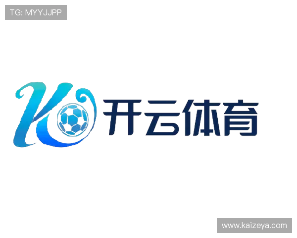 优化登录体验提升kaiyun体育网页版使用效率的实用技巧分享